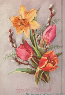 FLORES Vintage Tarjeta Postal CPSMPF #PKG029.ES - Bloemen