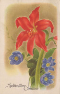 FLORES Vintage Tarjeta Postal CPA #PKE727.ES - Fleurs