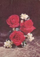 FLORES Vintage Tarjeta Postal CPSM #PBZ071.ES - Bloemen