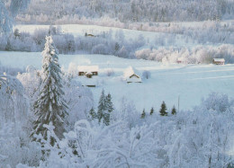 Neujahr Weihnachten Vintage Ansichtskarte Postkarte CPSM #PAV806.DE - Neujahr