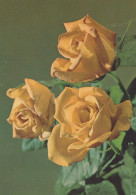 FLOWERS Vintage Ansichtskarte Postkarte CPSM #PAS026.DE - Flowers