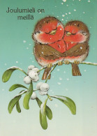 VOGEL Tier Vintage Ansichtskarte Postkarte CPSM #PAM918.DE - Vögel