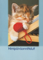 KATZE MIEZEKATZE Tier Vintage Ansichtskarte Postkarte CPSM #PAM166.DE - Chats