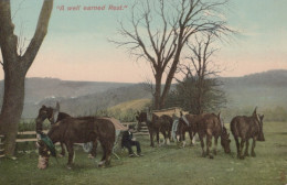 ESEL Tiere Vintage Antik Alt CPA Ansichtskarte Postkarte #PAA147.DE - Burros