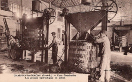 CHARNAY-LÈS-MÂCON Cave Coopérative. Les Presses Hydrauliques En Action. Édit. Charreaux - Other & Unclassified