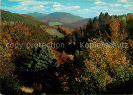 72935649 Winterberg Hochsauerland Panorama Blick Ins Helletal Und Orketal Herbst - Winterberg