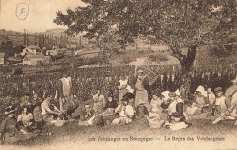 D9171 Les Vendanges En Bourgogne - Other & Unclassified