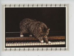 Chat - (chat Sur U-les Touches D'un Piano, Tour Partition) A.n.i.m.a.l.s. Cp Vierge N°1133milaberto - Cats