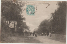 CPA - 44 - PORNICHET - Une Avenue à SAINTE MARGUERITE - Animation - Vers 1905 - Pas Courant - Pornichet