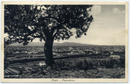 G.818  PRATO - Panorama - 1936 - Prato