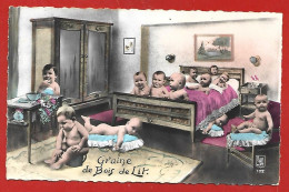 Humour "Graine De Bois De Lit" Bébés Pot De Chambre 2scans - Humorkaarten