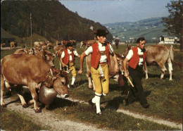 11381377 Appenzell IR Aufbruch Zum Alpabtrieb Im Kanton Appenzell Appenzell - Other & Unclassified