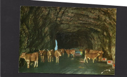 Arte Pirenaica - Route Du Col D'Aubusque- Corida Dans Le Tunnel - Autres & Non Classés