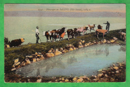 PATURAGE AU SALEVE - Carte Vierge - Sonstige & Ohne Zuordnung