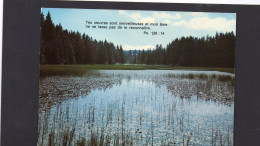 Francia - Etang Des Royes - - Les Franche Montagnes - Autres & Non Classés