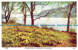 R087372 Wordsworths Daffodils Ullswater. H. Webster. Helvellyn House - Monde