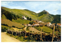 Pays Basque - Le Pic De Béhorléguy - Andere & Zonder Classificatie