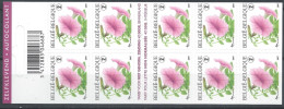 Boekje/carnet B81 - Bloemen Petunia, Fleurs / ** MNH 2007 - 1997-… Permanent Validity [B]