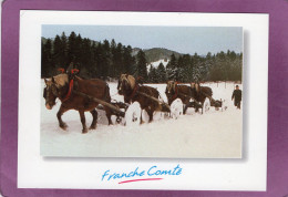 25 L'HIVER EN FRANCHE COMTE Scène De La Vie Traditionnelle Le Débardage Du Bois Avec Des Chevaux - Autres & Non Classés