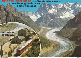 Frankrijk Chamonix Mer De Glace Et Chemin De Fer Du Montenvers - Gares - Avec Trains