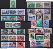 1954-60 JUGOSLAVIA - Fauna Jugoslava 36 Valori MNH/** - Autres & Non Classés