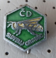 Beekeeping Society CD Slovenj Gradec Honey Bee Bees Slovenia Pin Badge - Tiere