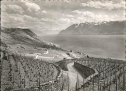 11358057 Lac Leman Genfersee Vignoble Lavaux Genf - Otros & Sin Clasificación