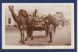 CPA Chameau Camel Aden Yemen Non Circulé - Other & Unclassified