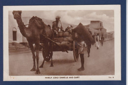 CPA Chameau Camel Aden Yemen Non Circulé - Andere & Zonder Classificatie