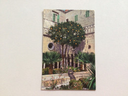 Carte Postale Ancienne (1938) Dubrovnik - Croazia