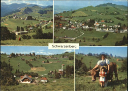 11357933 Schwarzenberg Brienz Tracht Kuh Kurort Schwarzenberg Brienz - Sonstige & Ohne Zuordnung