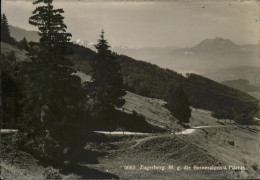 11357881 Zugerberg Zug Berneralpen Pilatus Zugerberg Zug - Otros & Sin Clasificación