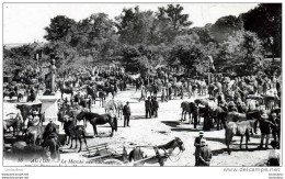 71 AUTUN LE MARCHE AUX CHEVAUX - Autun