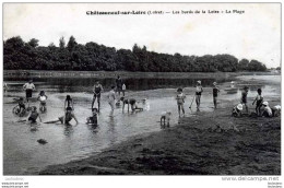 45 CHATEAUNEUF SUR LOIRE LES BORDS DE LA LOIRE LA PLAGE EDIT LENORMAND - Other & Unclassified