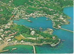 Ischia (Napoli) Veduta Aerea Del Porto, Vue Aerienne Du Port, Aerial View Of The Harbour, Ansicht Vom Luftzeug Aus - Napoli