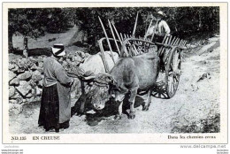 23 EN CREUSE DANS UN CHEMIN CREUX ATTELAGE - Autres & Non Classés