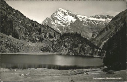 11357734 Golzernsee Maderanertal Golzernsee - Andere & Zonder Classificatie