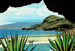 TABAIBA : Vista De La Piscina Junto Al Mar - Tenerife