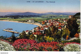 83 LE LAVANDOU N°11740 Vue Générale VOIR DOS - Le Lavandou