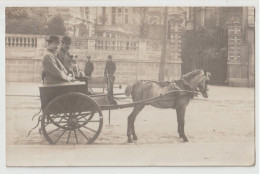 CARTE PHOTO - ATTELAGE D' ANE - TRANSPORT DE PASSAGERS EN CHARRETTE STYLE CALECHE SUR LA  PLACE D'UNE CATHEDRALE - - Donkeys