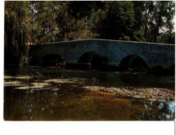 CHÂTEAUNEUF-SUR-CHARENTE - Vieux Pont Romain Entre VIBRAC Et ANGEAC-CHARENTE - Chateauneuf Sur Charente