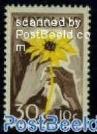 Netherlands 1949 30+10c Sunflower, Unused (hinged), Nature - Flowers & Plants - Nuovi