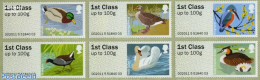 Great Britain 2011 Post & Go, Birds Of Britain III 6v S-a, Mint NH, Nature - Birds - Ducks - Nuevos