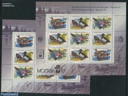 Russia 1994 Ducks 2 M/ss, Mint NH, Nature - Birds - Ducks - Other & Unclassified