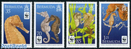 Bermuda 2010 WWF, Sea Horses 4v, Mint NH, Nature - Fish - World Wildlife Fund (WWF) - Fishes