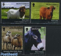 Montserrat 2011 Domestic Animals 4v, Mint NH, Nature - Animals (others & Mixed) - Cattle - Otros & Sin Clasificación