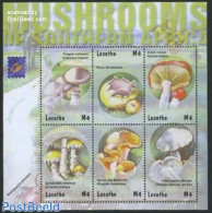 Lesotho 2001 Mushrooms, Belgica 6v M/s, Mint NH, Nature - Mushrooms - Paddestoelen