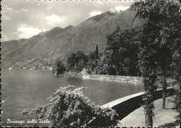 11353819 Brissago TI Dalle Isole Parco Lago Maggiore Brissago - Autres & Non Classés