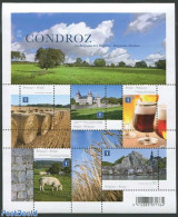 Belgium 2012 Condroz 5v M/s, Mint NH, Health - Nature - Various - Food & Drink - Cattle - Agriculture - Art - Castles .. - Neufs