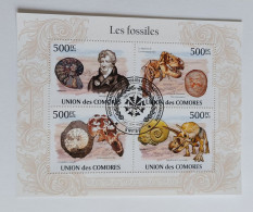 N° 1874 à 1877       Les Fossiles  -  Oblitérés - Comores (1975-...)